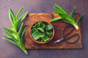 aloe vera