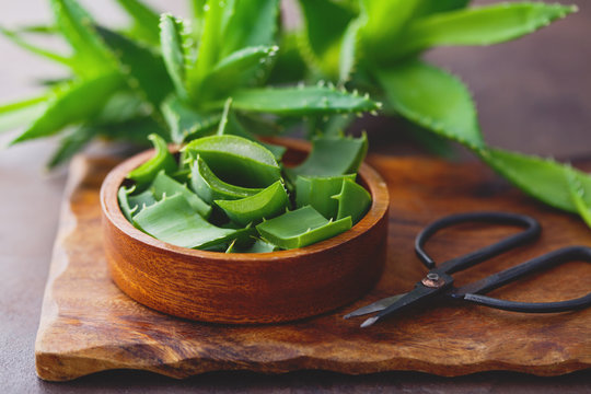 Aleo Vera" Images  Browse 46 Stock Photos, Vectors, and Video | Adobe Stock