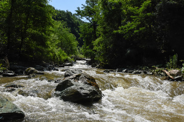 Wild river with a lot of cascade in green rainforest. Beautiful river rapids in mountain