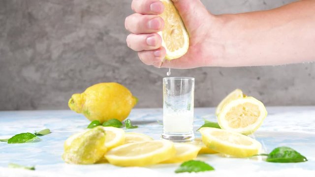 Frische BIO Zitrone