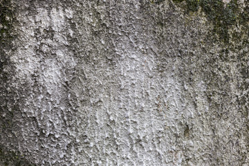 moldy rough surface pattern texture background