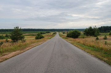 Asphalt road in the country
