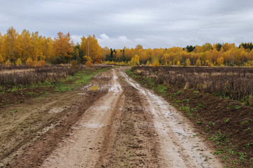 Dirt road through the field