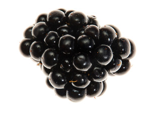 Fresh, beautiful BlackBerry berries close-up on white background in high quality