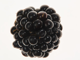 Fresh, beautiful BlackBerry berries close-up on white background in high quality