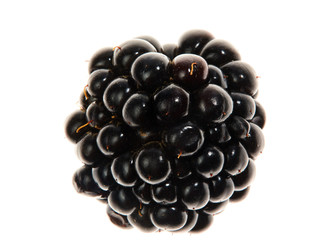Fresh, beautiful BlackBerry berries close-up on white background in high quality