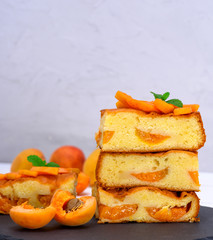 square pieces of cake sponges with apricot