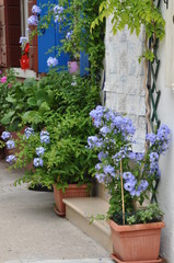 Fototapeta na wymiar Flower pots and house in mediterranean village