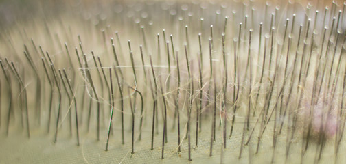 Wool of an animal on a comb close-up.
