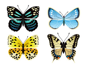 Fototapeta na wymiar Butterflies Types Set of Icons Vector Illustration