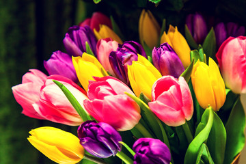 Tulips bouquet