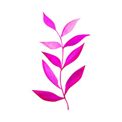 palm leaves background