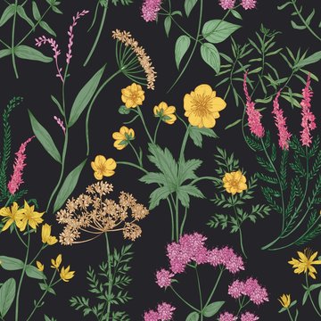 Natural seamless pattern with gorgeous wildflowers or blooming flowers and wild meadow flowering herbs on black background. Elegant hand drawn vector illustration for wrapping paper, fabric print.