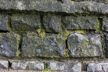 stones with moss pattern texture background