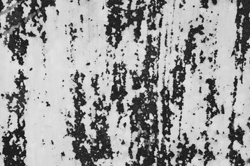 Black and white dust and Scratched Textured Backgrounds with space.