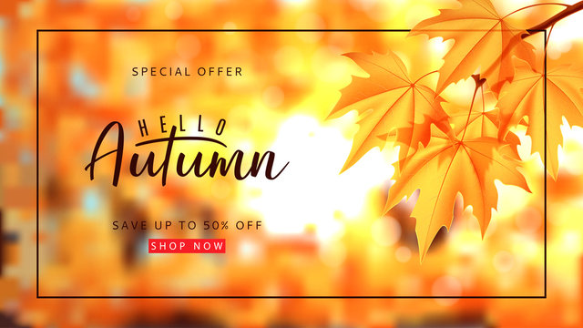 Autumn sale background template. Vector illustration with autumn landscape and calligraphy lettering. Maple branch on the blurred nature bokeh background.