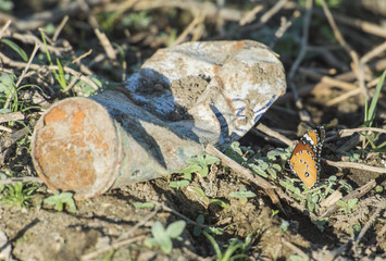 Closeup of orange and black spotted butterfly with rubbish pollution