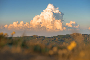 Picturesque cumulus storm cloud in the sky. Sunset colors. Nature landscape mountain forest. blurred meadow grass and yellow flowers in the foreground. Place for text - obrazy, fototapety, plakaty