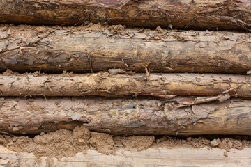 pine logs wall abstract pattern texture background