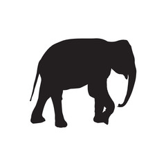 silhouette of an elephant