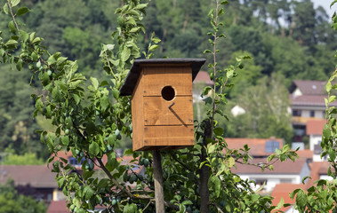 Vogelhäuschen, Nistkasten, 18043.jpg