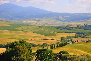 Obraz premium Beautiful landscape of hills, cypress trees and houses in Tuscany, Italy