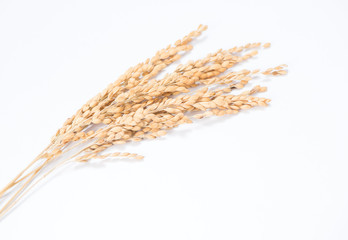 unmilled rice isolated on white background