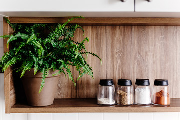 wooden shelf with pepper mill  and spices and green plants on modern kitchen. cooking food. Stylish kitchen interior design in scandinavian style