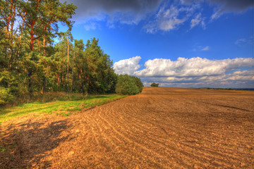 Fototapeta na wymiar Ploughed field at late summer