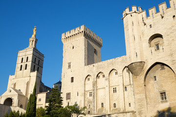 Fototapeta na wymiar Popes Palace in Avignon