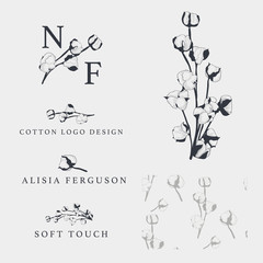 Cotton flower vector hand drawn Logo templates, branding.