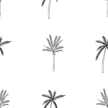 Hand-drawn seamless pattern with palm trees, isolated on white background
