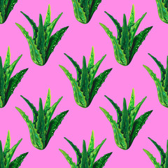 Seamless pattern with aloe vera green succulent. Cactus summer design vector illustration. Aloe vera spa background. Tropical evegreen plant. Aloe vera sketch