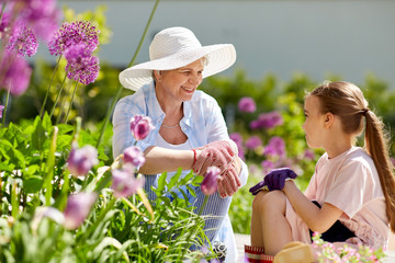 gardening, family and people concept - happy grandmother and granddaughter with flowers at summer...