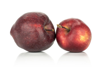 Two apples red delicious isolated on white background light and deep red.