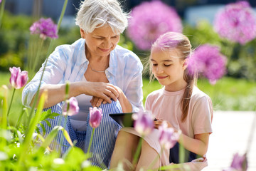 family, leisure and technology concept - happy grandmother and granddaughter with tablet pc...