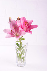 Branch with pink  lilies and green leaves in a glass of water, on white background.