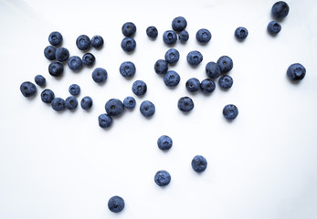 Blueberries on white background.