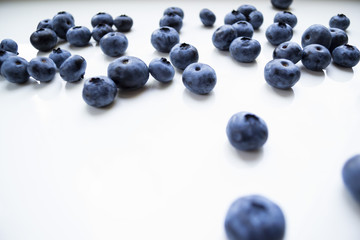 Blueberries on white background.