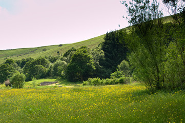 Theatre in the Meadow