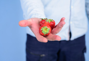 Male hand with strawberries blue background. Help yourself. Hand proposes take strawberry. Fresh harvest of ripe red berries.Berry tasty organic treat or snack. Take strawberry if you want