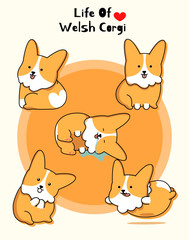 Real cute Welsh Corgi set