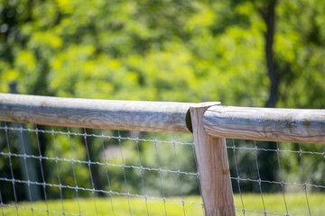 Close-up, view of a barbed-wire fence seen at the boundary of a dairy farm