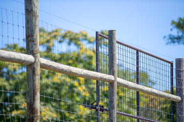Close-up, view of a barbed-wire fence seen at the boundary of a dairy farm