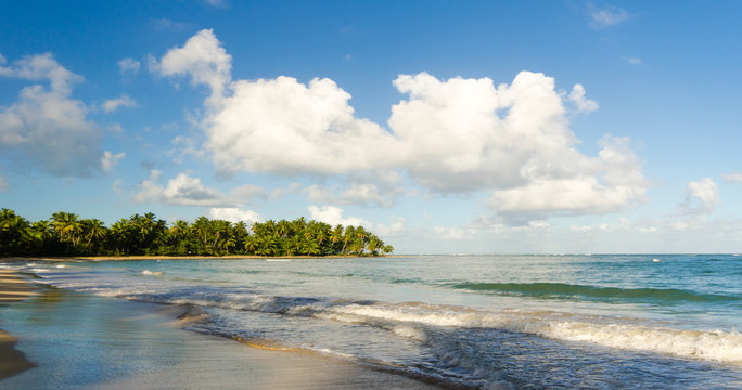 Ferien, Tourismus, Sommer, Sonne, Strand, Auszeit, Meer, Glück, Entspannung, Meditation, Palmen, Mangroven: Traumurlaub an einem einsamen, karibischen Strand :)