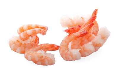 shrimp isolated on white background