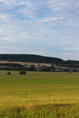 Fototapeta na wymiar Yellow meadow in European countryside