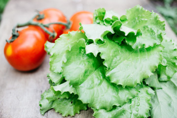 fresh vegetables, tomatoes, cucumbers, lettuce on a wooden table