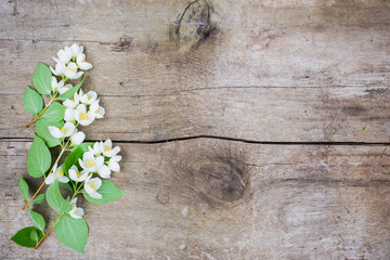 White flower or jasmine on the wood background