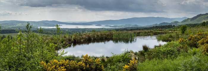 a view of the west highland way in the highlands of scotland during a bright summer day